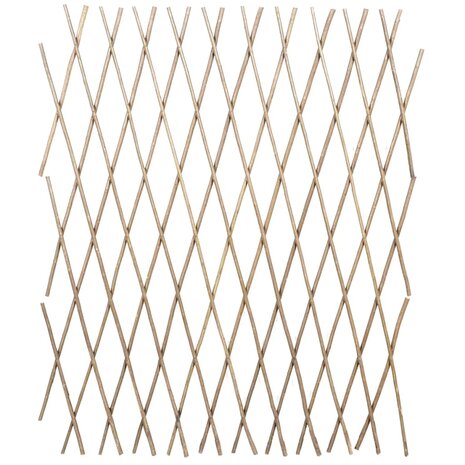 Tuinlatwerk 5 st 180x90 cm wilg 2