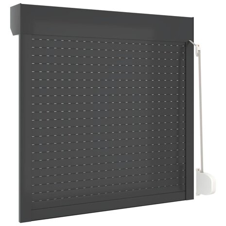 Rolluik 100x100 cm aluminium antracietkleurig 5