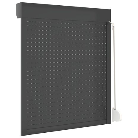 Rolluik 100x120 cm aluminium antracietkleurig 5