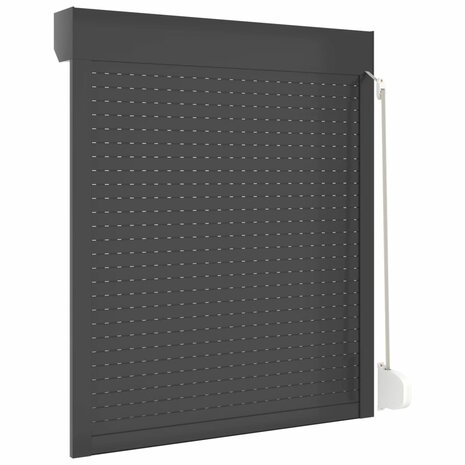 Rolluik 100x130 cm aluminium antracietkleurig 5