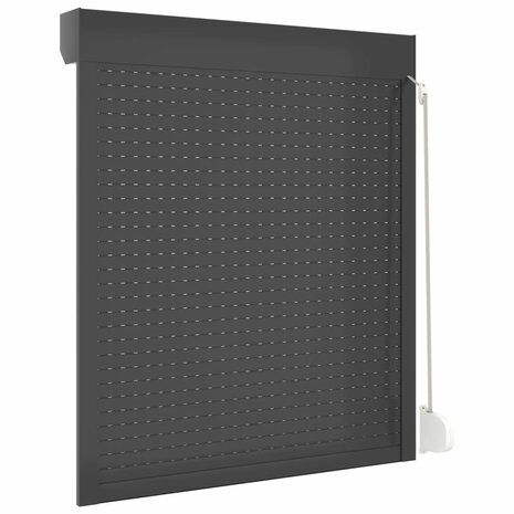 Rolluik 110x130 cm aluminium antracietkleurig 5