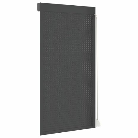 Rolluik 110x220 cm aluminium antracietkleurig 5