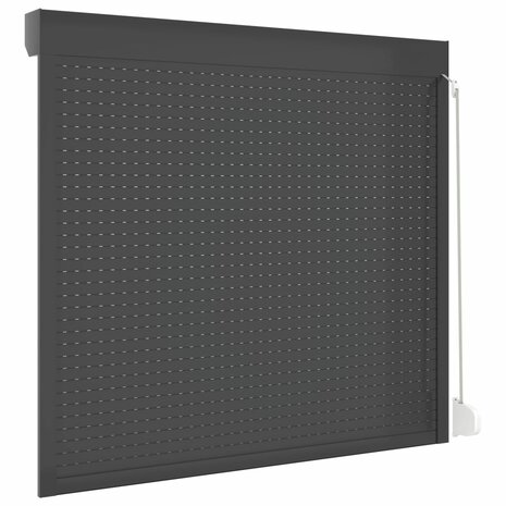 Rolluik 160x150 cm aluminium antracietkleurig 5