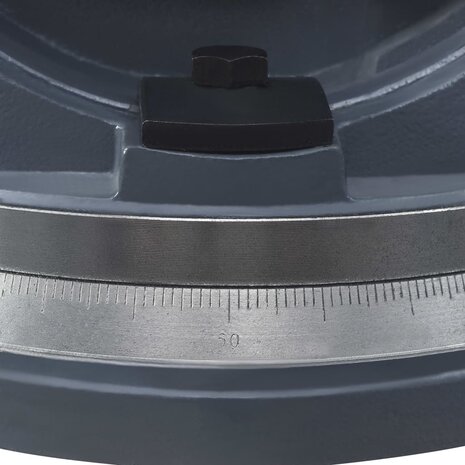 Bankschroef met 2 assen kantelbaar 160 mm 9