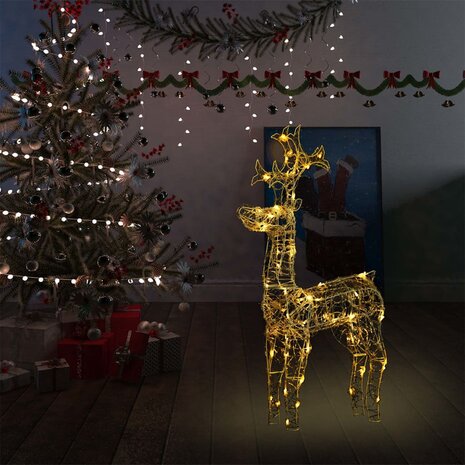 Kerstversiering rendier 90 LED&apos;s 60x16x100 cm acryl 1