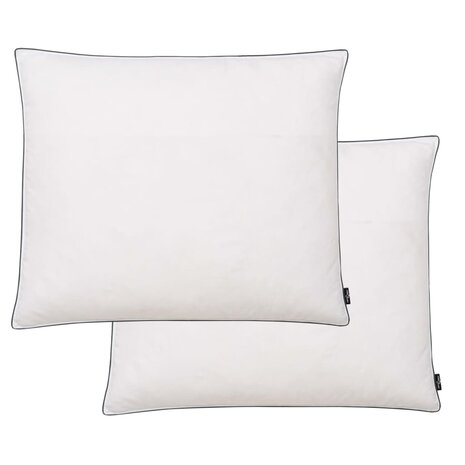 Kussens 2 st licht 70x60 cm dons-/verenvulling wit 1