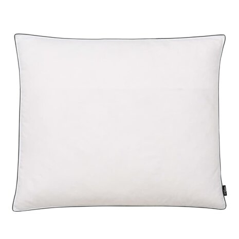Kussens 2 st licht 70x60 cm dons-/verenvulling wit 2