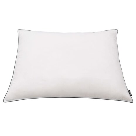 Kussens 2 st licht 70x60 cm dons-/verenvulling wit 3