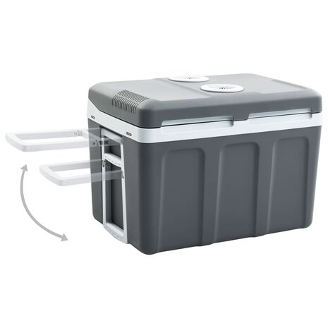 Koelbox thermo-elektrisch draagbaar 12 V 230 V E 40 L 3