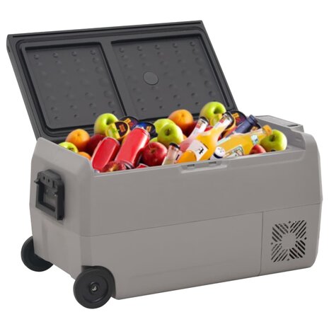 Koelbox met wielen en handvat 50 L polypropeen zwart en grijs 2