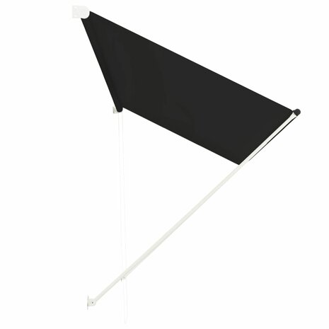 Luifel uittrekbaar 300x150 cm antraciet 3