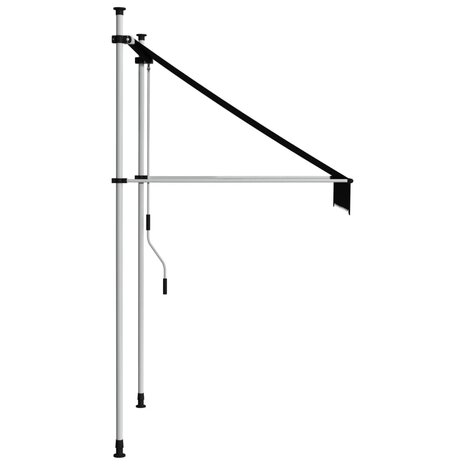 Luifel handmatig uittrekbaar 100 cm antraciet 3