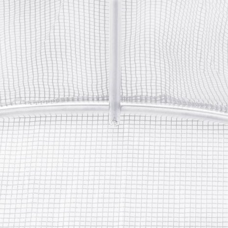 Tuinkas met stalen frame 30 m² 6x5x2,3 m wit 9