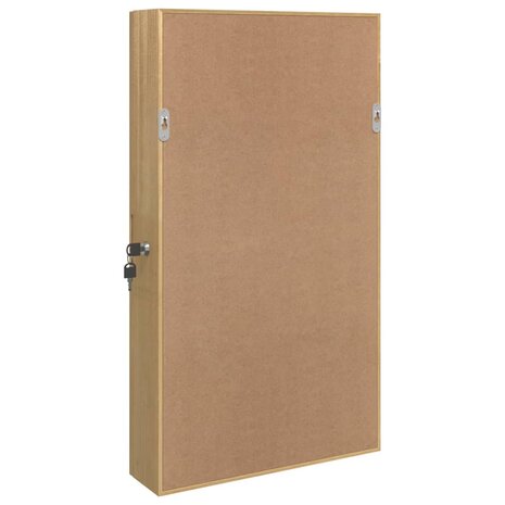 Sieradenkast met spiegel wandgemonteerd 37,5x10x67 cm 7