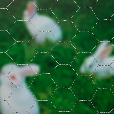 Nature Gaas zeshoekig 0,5x10 m 25 mm gegalvaniseerd staal 2