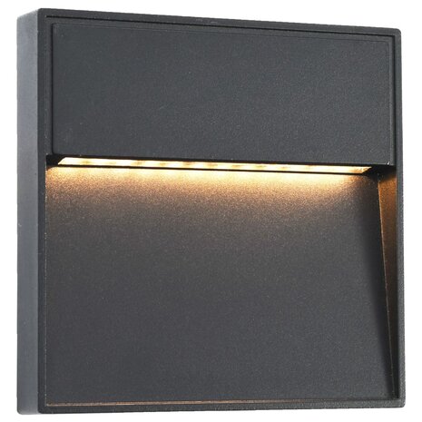 LED-buitenwandlampen 2 st 3 W vierkant zwart 2