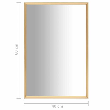 Spiegel 60x40 cm goudkleurig 5