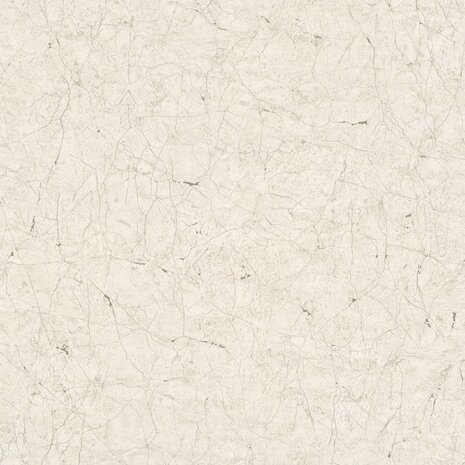 Noordwand Behang Vintage Deluxe Stucco Crackle grijs en wit 2