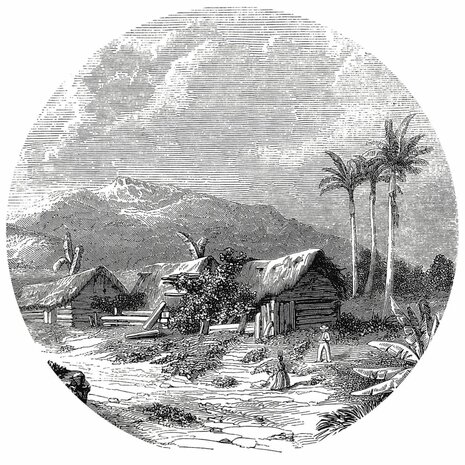 WallArt Behangcirkel Landscape of Guadeloupe 190 cm 2