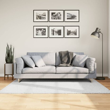 Vloerkleed OVIEDO laagpolig 120x170 cm grijs 1