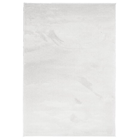 Vloerkleed OVIEDO laagpolig 120x170 cm grijs 2