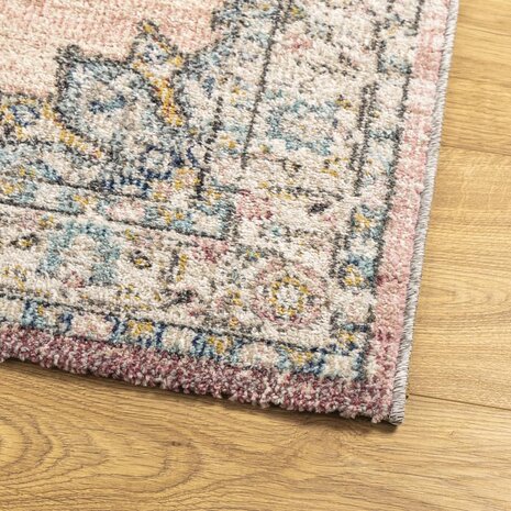 Vloerkleed ARBIZU binnen en buiten vintage stijl 80x250 cm 4