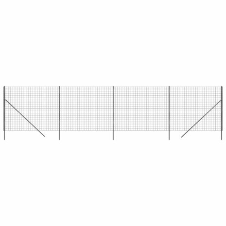 Draadgaashek 1,6x10 m gegalvaniseerd staal antracietkleurig 2