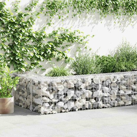 Gabion mand 100x50x50 cm gegalvaniseerd staal 1