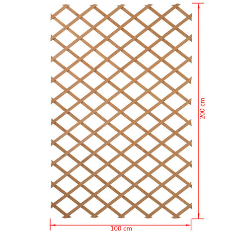 Nature Latwerk voor tuin 100x200 cm natuurlijk hout 6041703 4