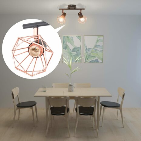 Plafondlamp met 2 LED&apos;s 8 W 1