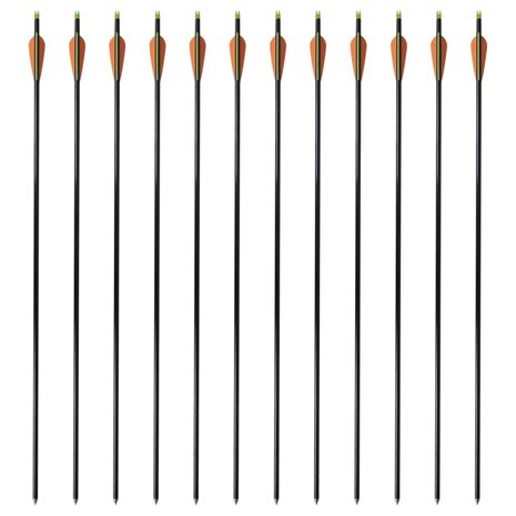 Pijlen compoundboog standaard 30" 0,8 cm glasvezel 12 stuks 2