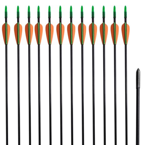 Recurveboog standaard met pijlen 30" 0,6 cm glasvezel 12 stuks 1