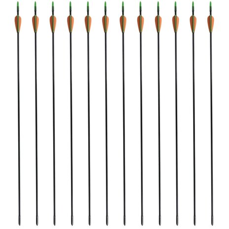 Recurveboog standaard met pijlen 30" 0,6 cm glasvezel 12 stuks 3