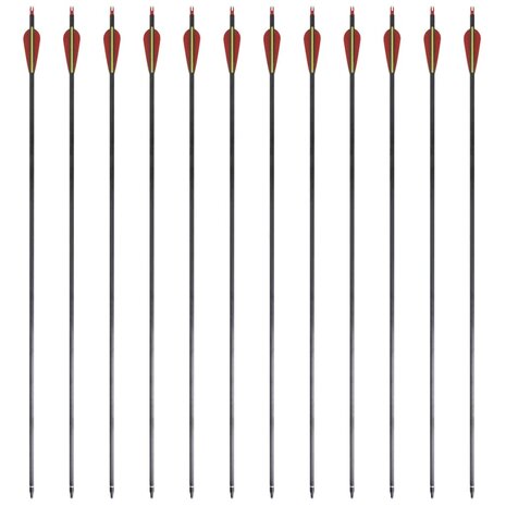 Pijlen voor recurveboog standaard 30" 0,76 cm koolstof 12 stuks 4