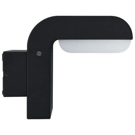 LED-buitenwandlamp 9 W ovaal zwart  3