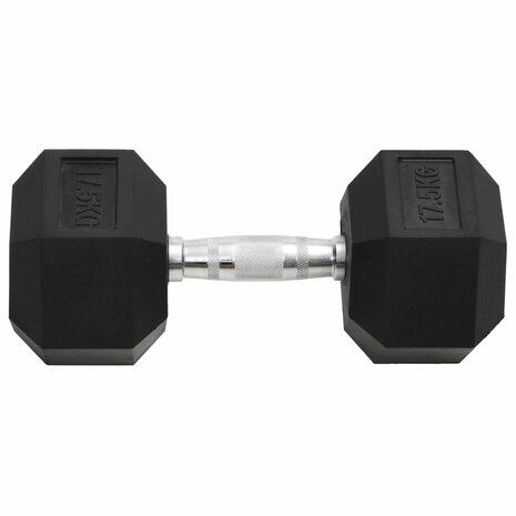 Halters 17,5 kg gietijzer 3