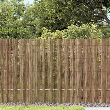 Tuinscherm 600x90 cm riet 1