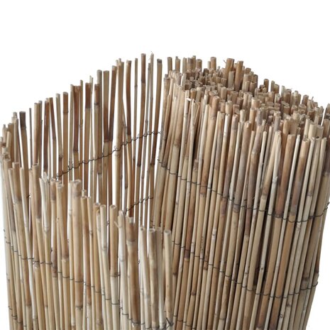 Tuinscherm 300x80 cm riet 3
