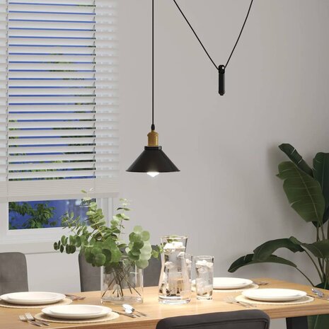Hanglamp in hoogte verstelbaar E27 Ø22 cm metaal glanzend zwart 4