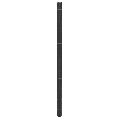 Worteldoek 2x100 m polypropeen zwart 1