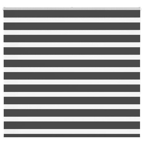 Zebra rolgordijn 155x150 cm stofbreedte 150,9 cm zwart 1
