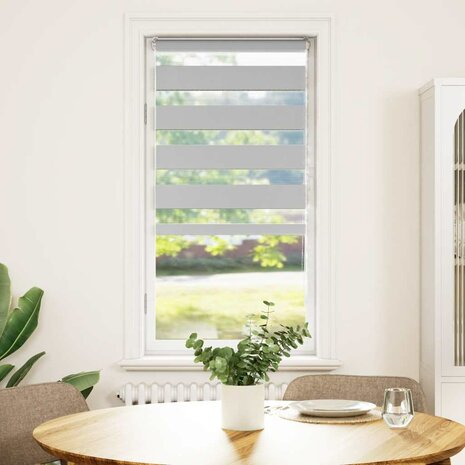 Zebra rolgordijn 60x100 cm stofbreedte 55,9 cm lichtgrijs 2