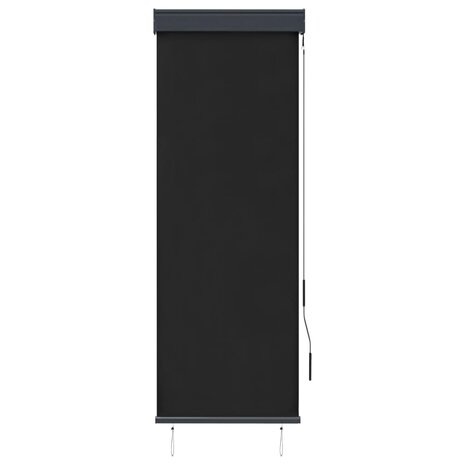 Rolgordijn voor buiten 60x250 cm antraciet 2