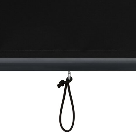 Rolgordijn voor buiten 60x250 cm antraciet 7