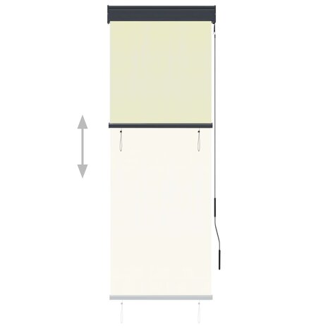 Rolgordijn voor buiten 60x250 cm crème 3