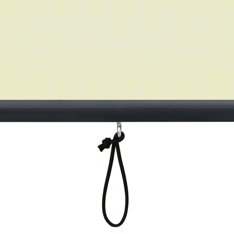 Rolgordijn voor buiten 60x250 cm crème 7