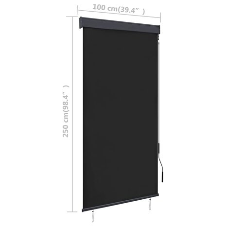 Rolgordijn voor buiten 100x250 cm antraciet 8