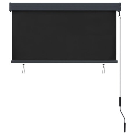 Rolgordijn voor buiten 120x250 cm antraciet 3