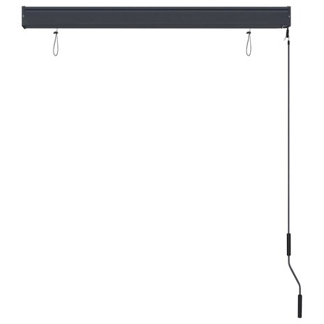 Rolgordijn voor buiten 120x250 cm antraciet 5