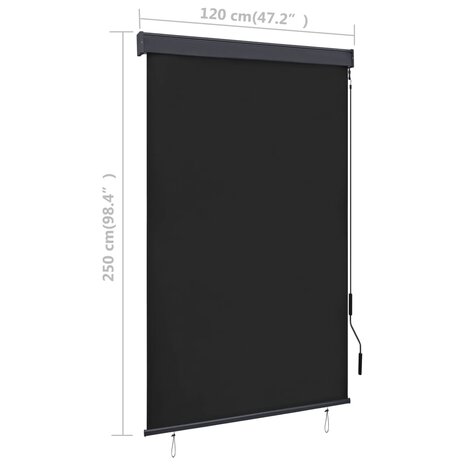 Rolgordijn voor buiten 120x250 cm antraciet 8